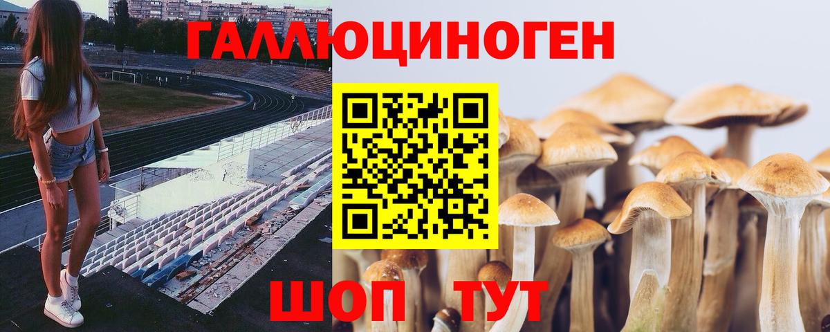 Псилоцибиновые грибы мицелий Вятские Поляны
