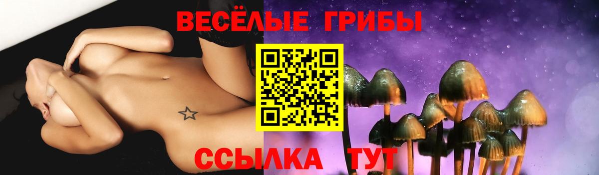 Вятские Поляны  Галлюциногенные грибы Cubensis  Галлюциногенные грибы Psilocybine cubensis  Вход с VPN 